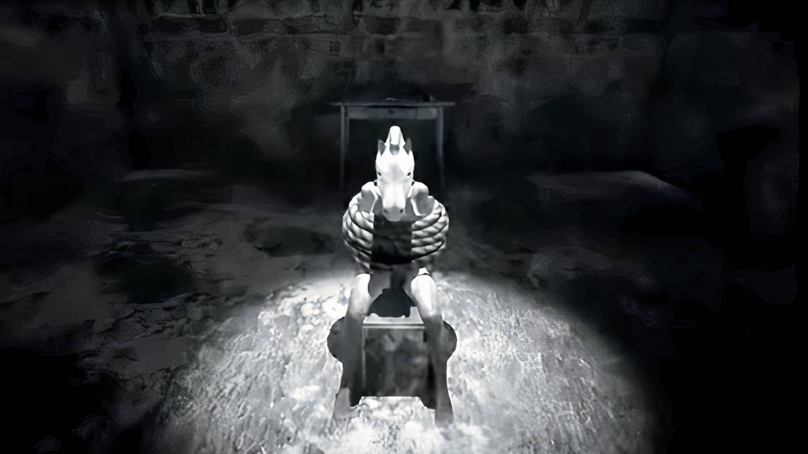 HORSES horse tied up