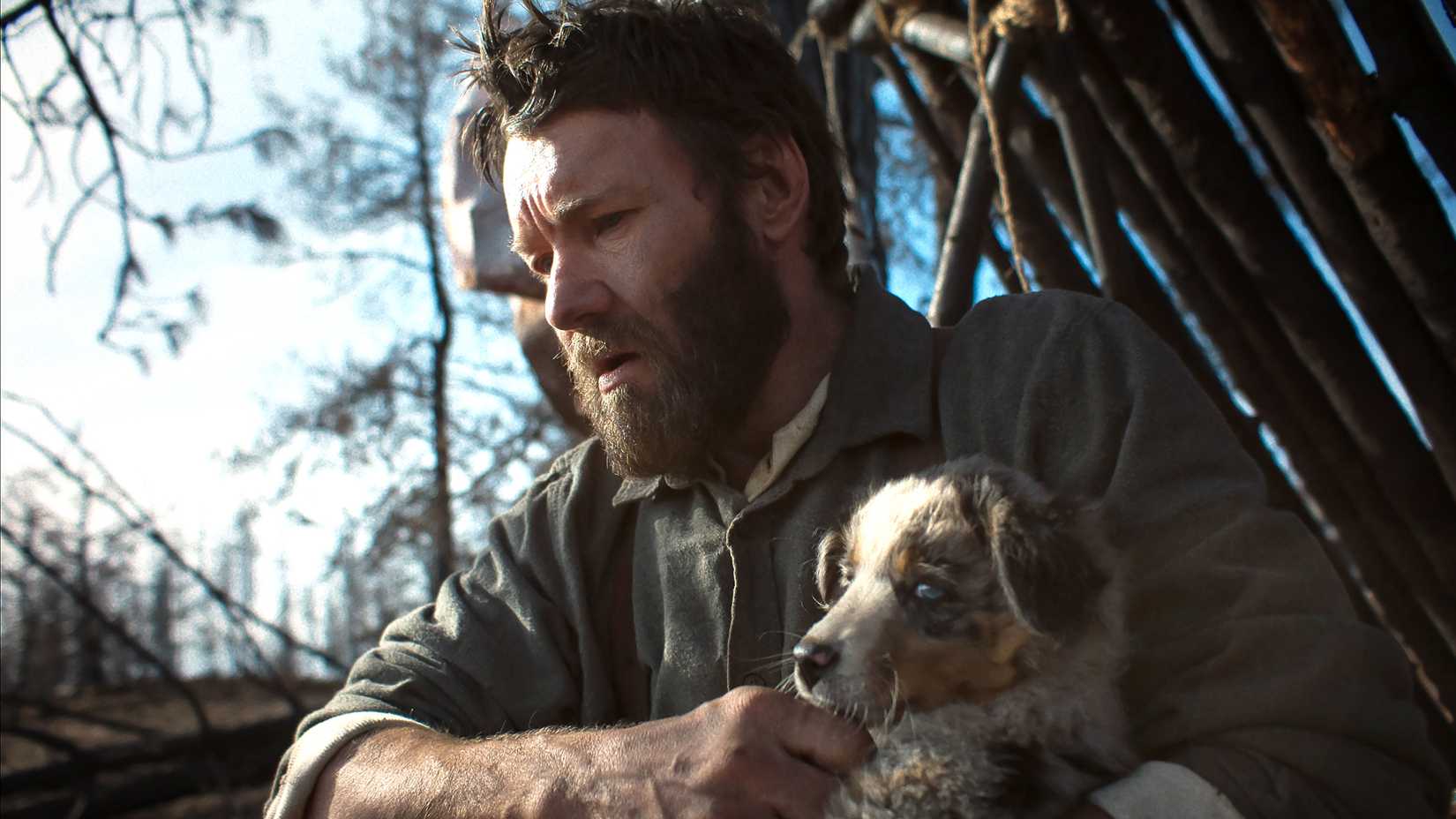 Joel Edgerton's Robert looking concerned while holding a puppy in Train Dreams