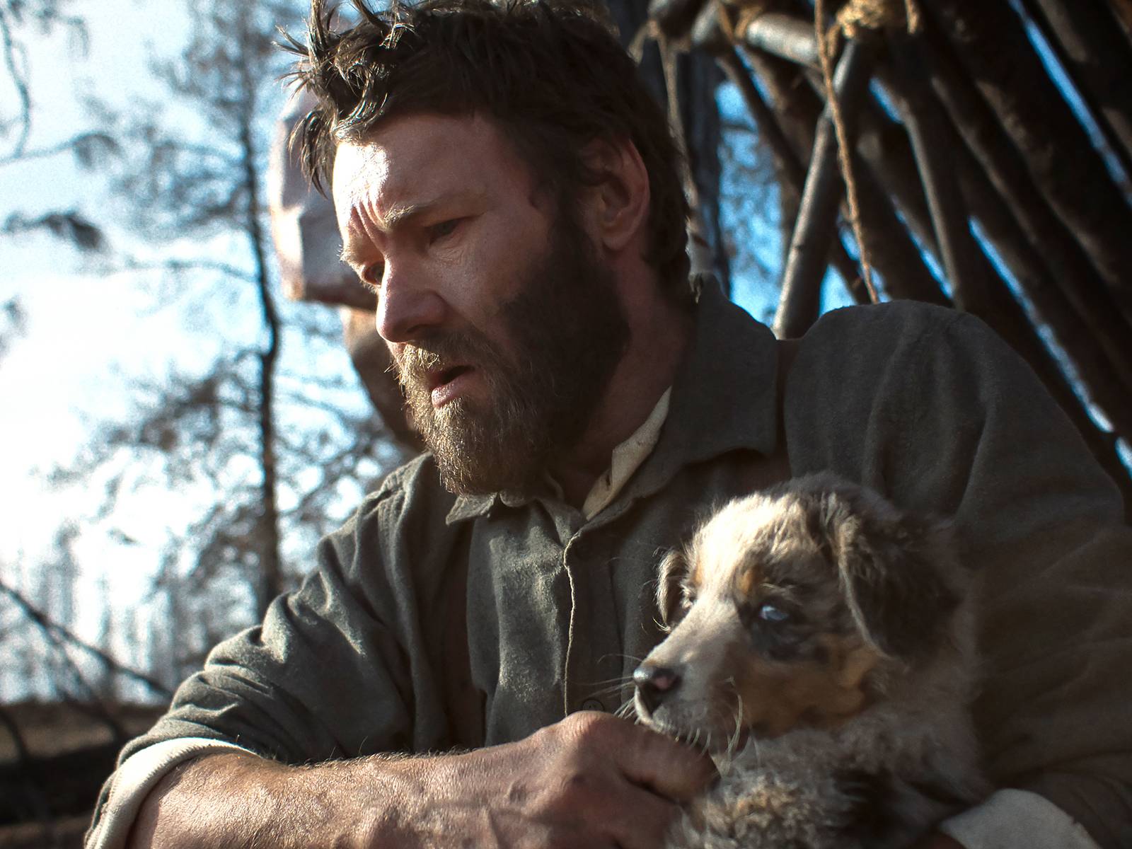 Netflix's Train Dreams: From Acclaimed Novella To Oscars Hopeful Movie