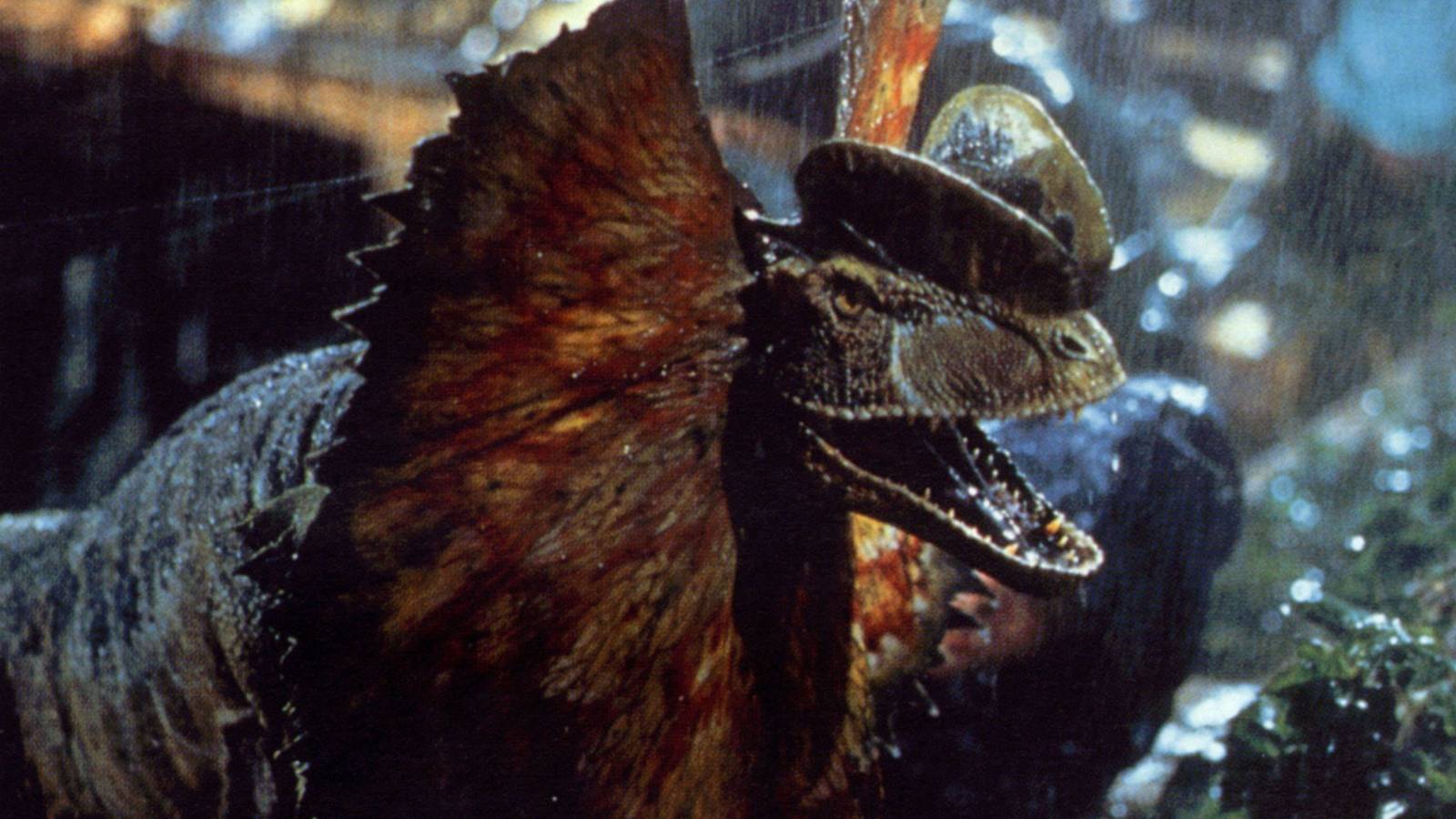Dilophosaurus shrieking with open frills in Jurassic Park (1993)