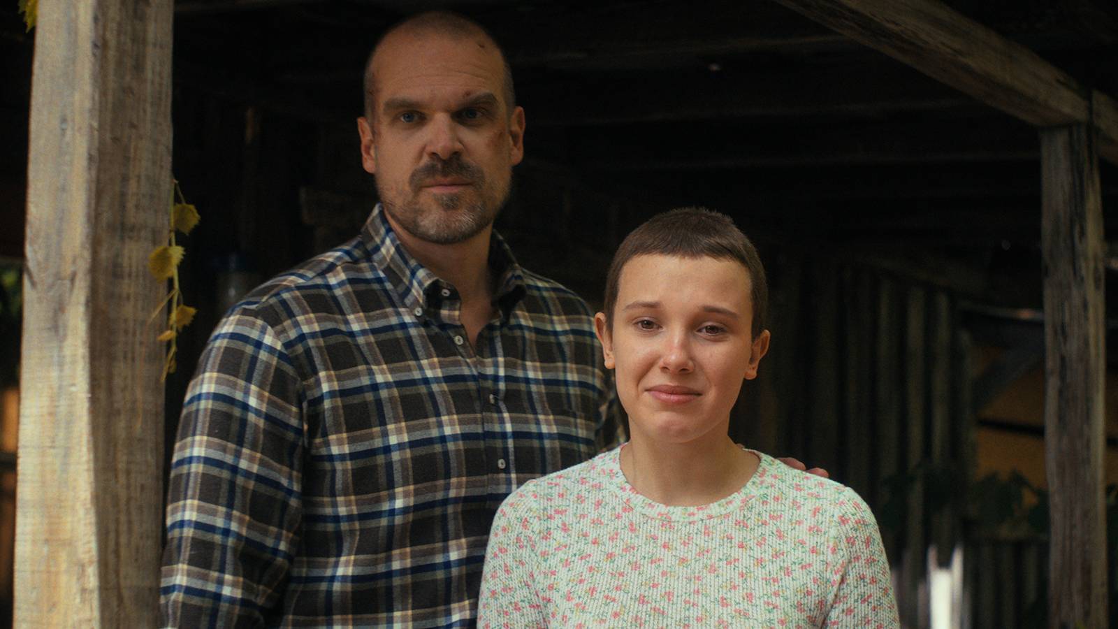 Millie Bobby Brown's Complaint Against David Harbour: New Report Reveals ...