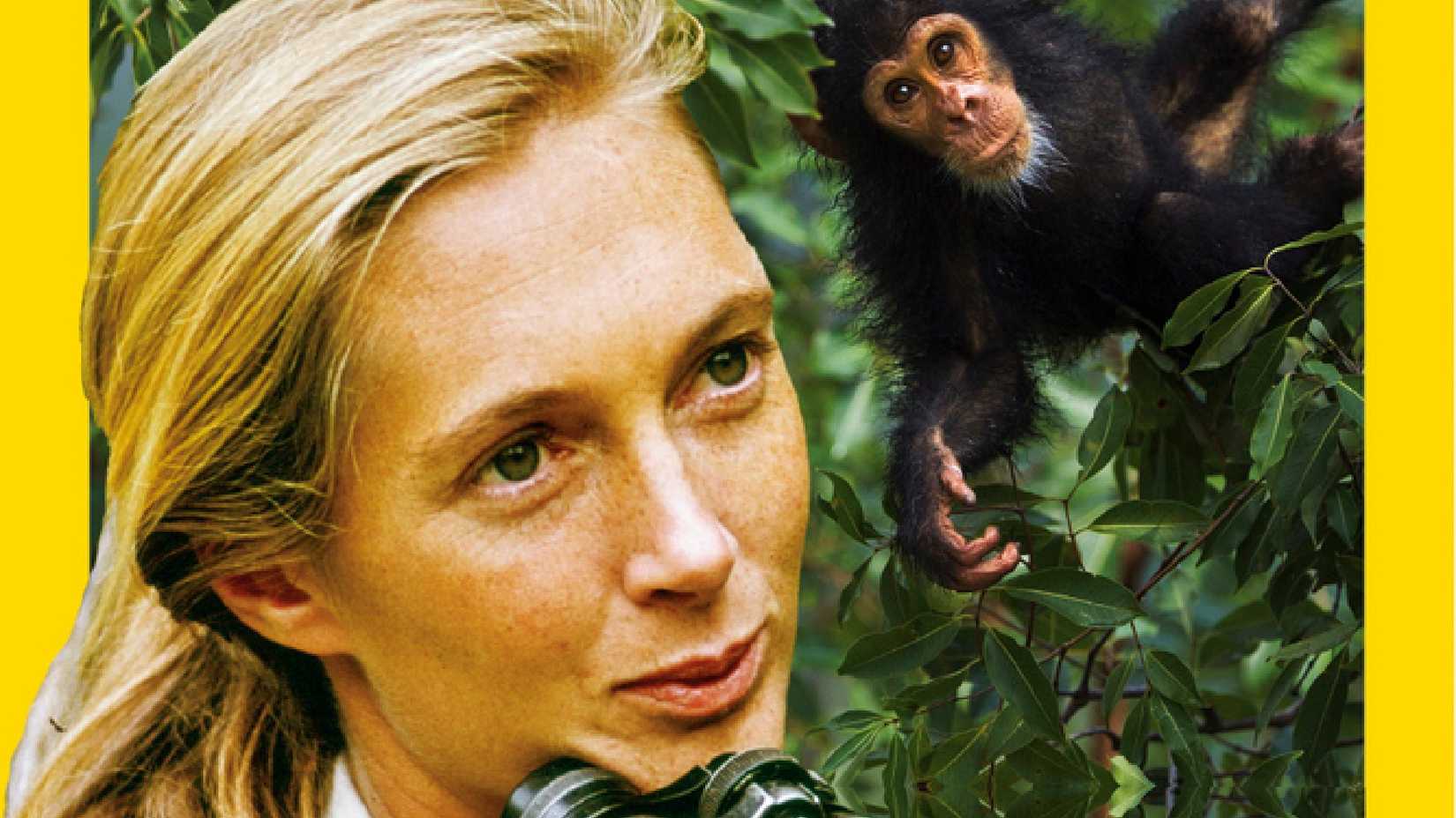 nationa geographic cover showing jane goodall and a chimp