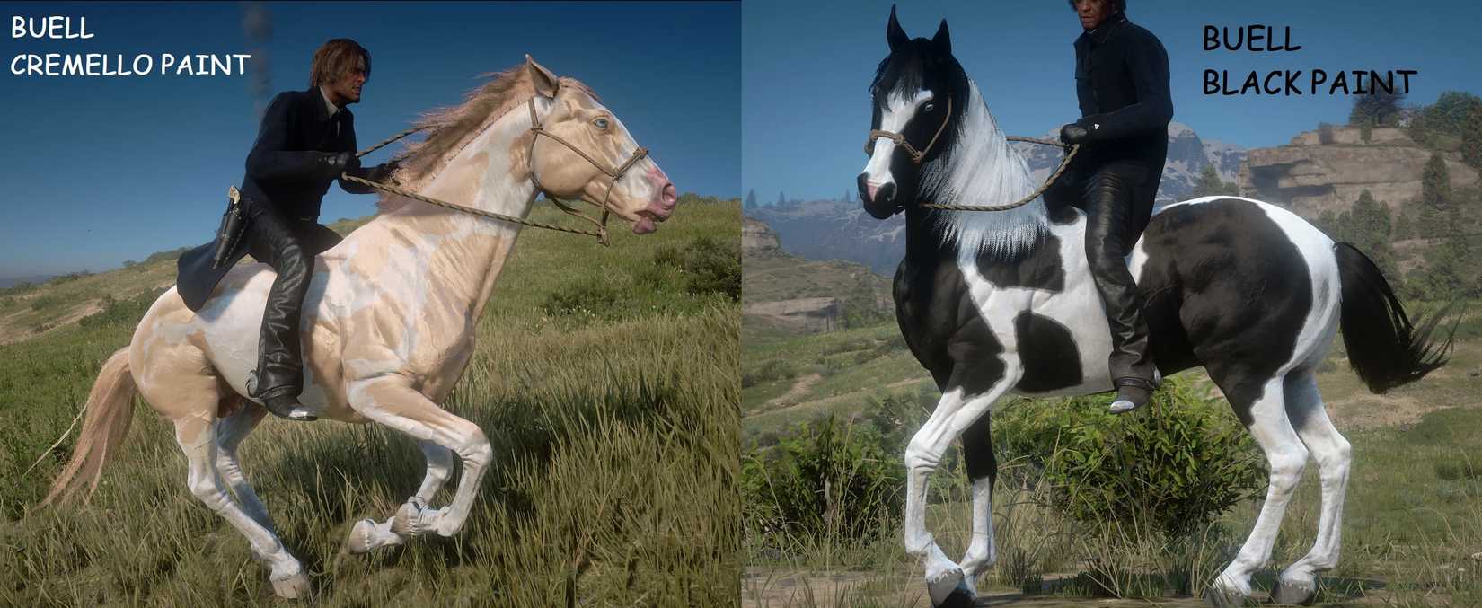 New Horse Coats RDR2 mod