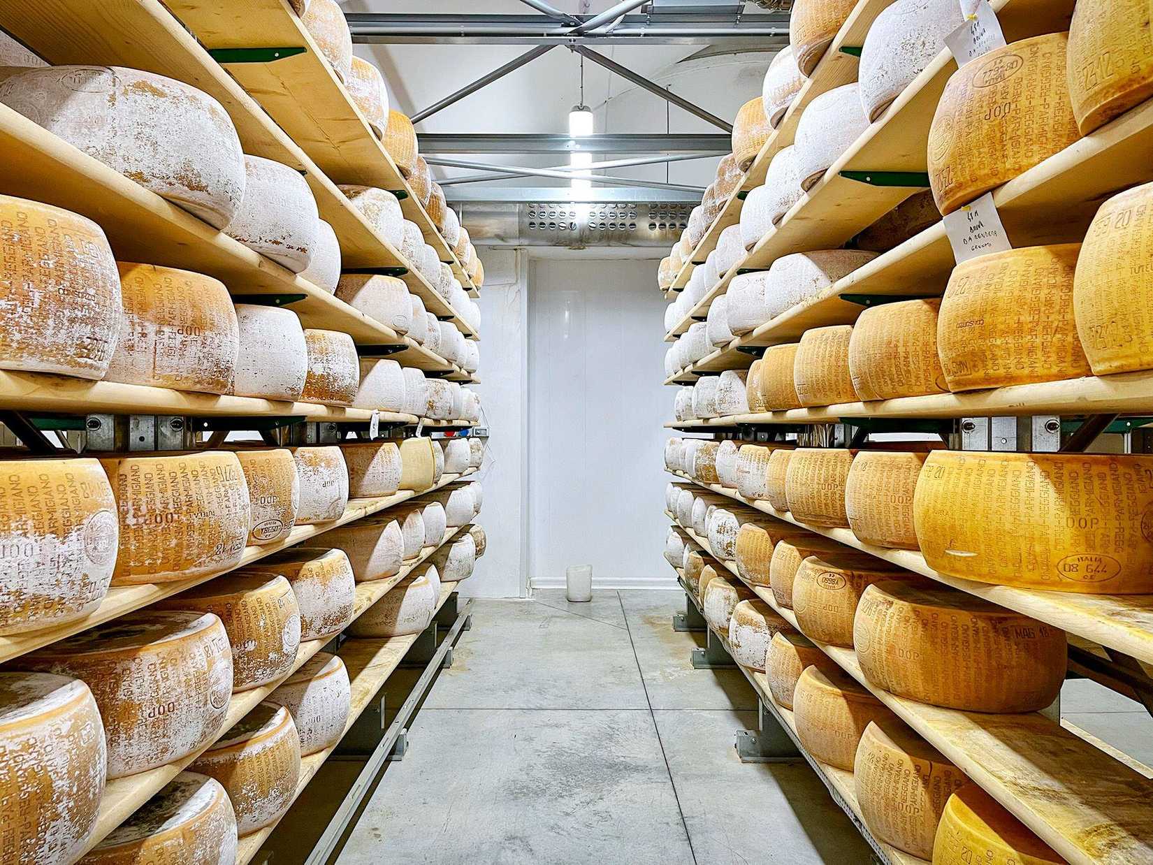 Queijo Parmesão em destaque