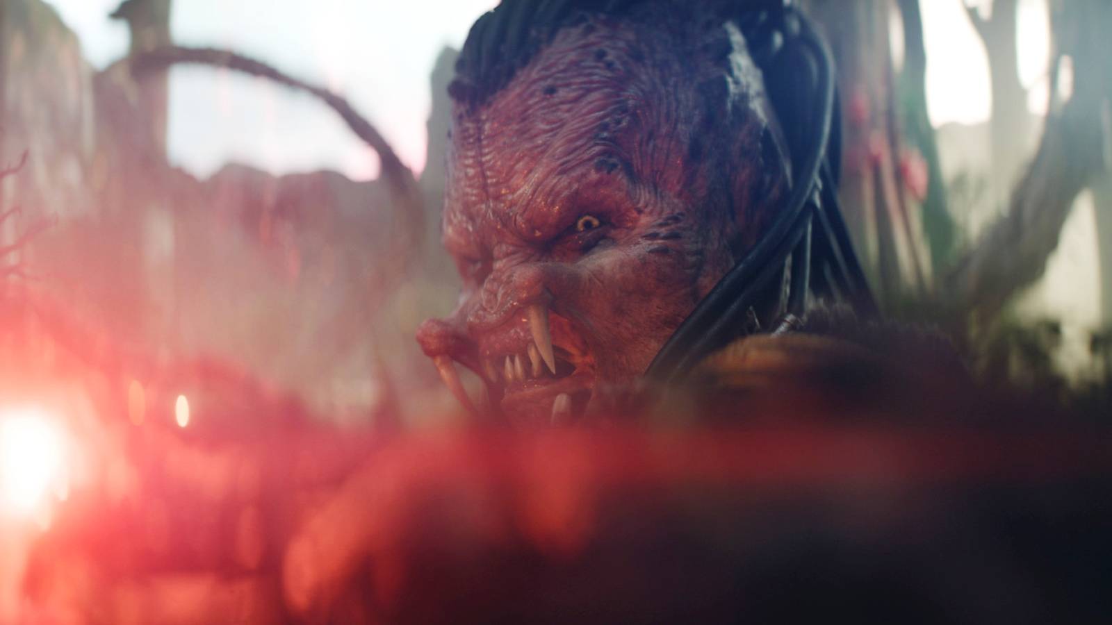 What's Next For The Predator Franchise After Badlands, Per Dan ...