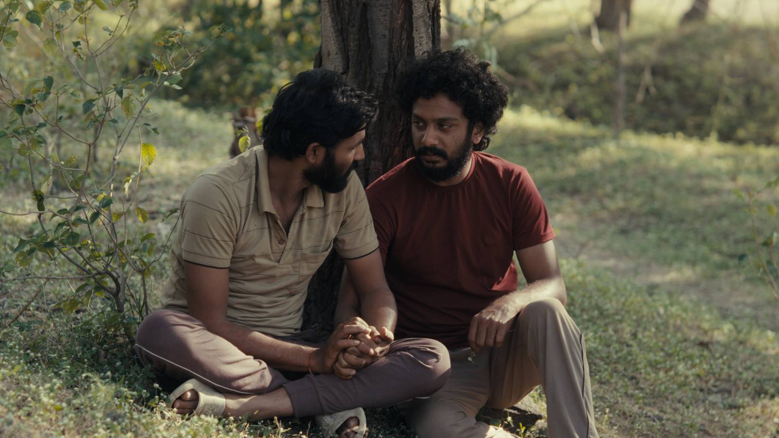 Cactus Pears Review: Indian Romance Portrays the Juice of Queer Love In ...