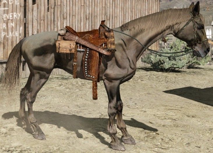 Infested Ardennais su sella