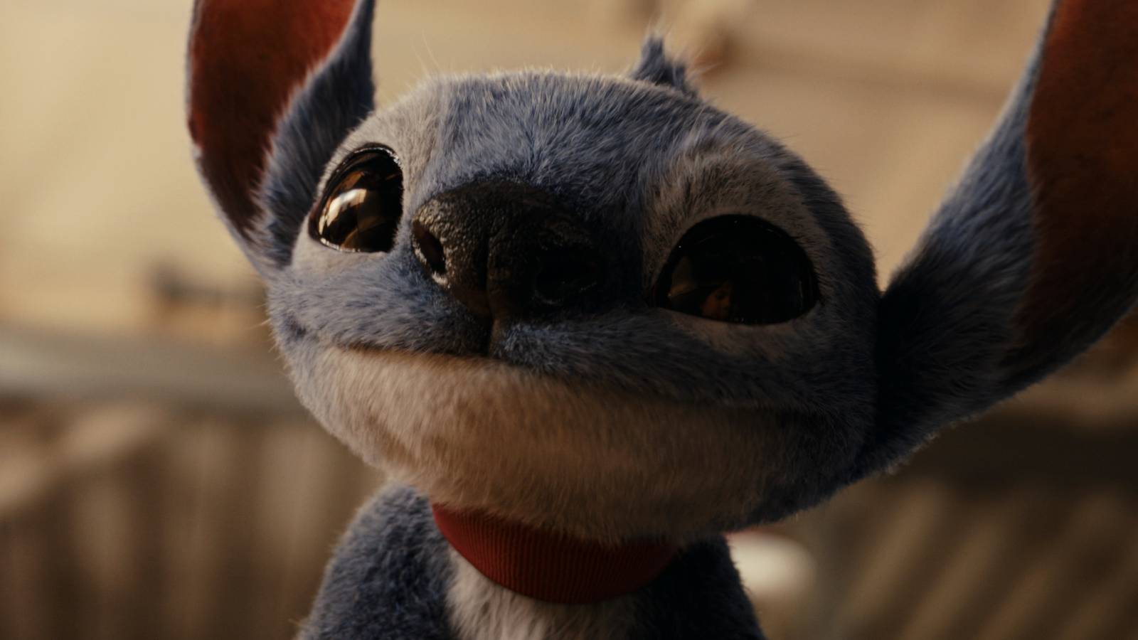 Stitch looking up in the 2025 Lilo & Stitch