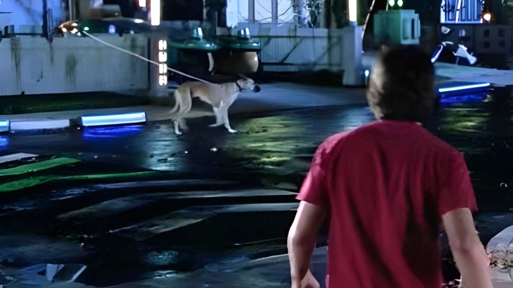 O passeador de cães por drone em De Volta para o Futuro