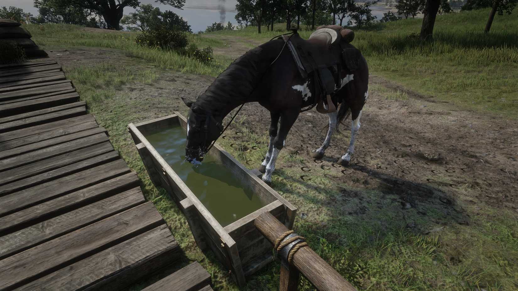 Thirsty Horse mod for RDR2