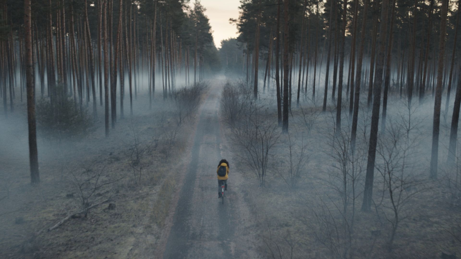 Martha cycling through a misty forest