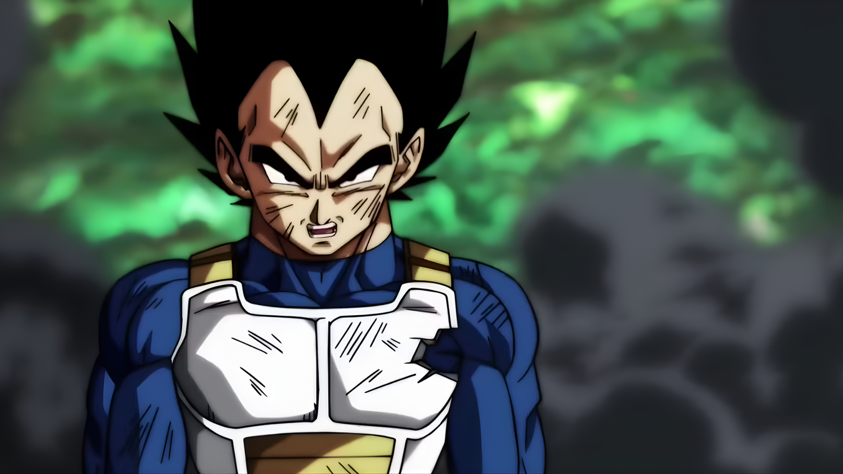 Vegeta Accepts His Pride