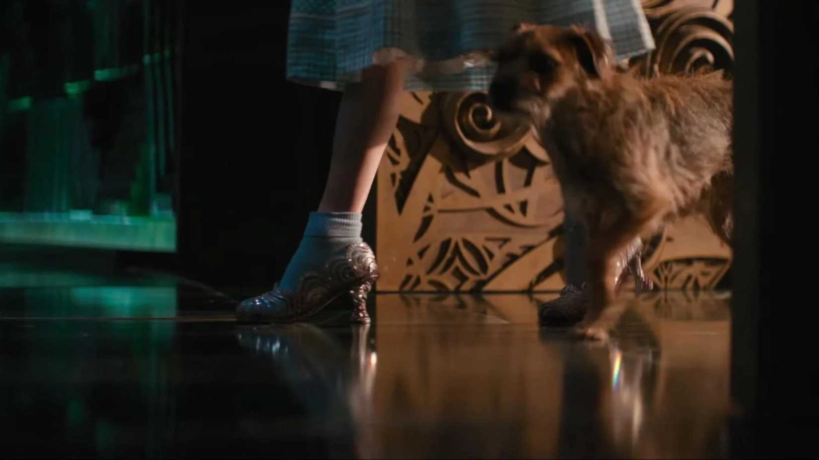 Toto em Wicked: For Good