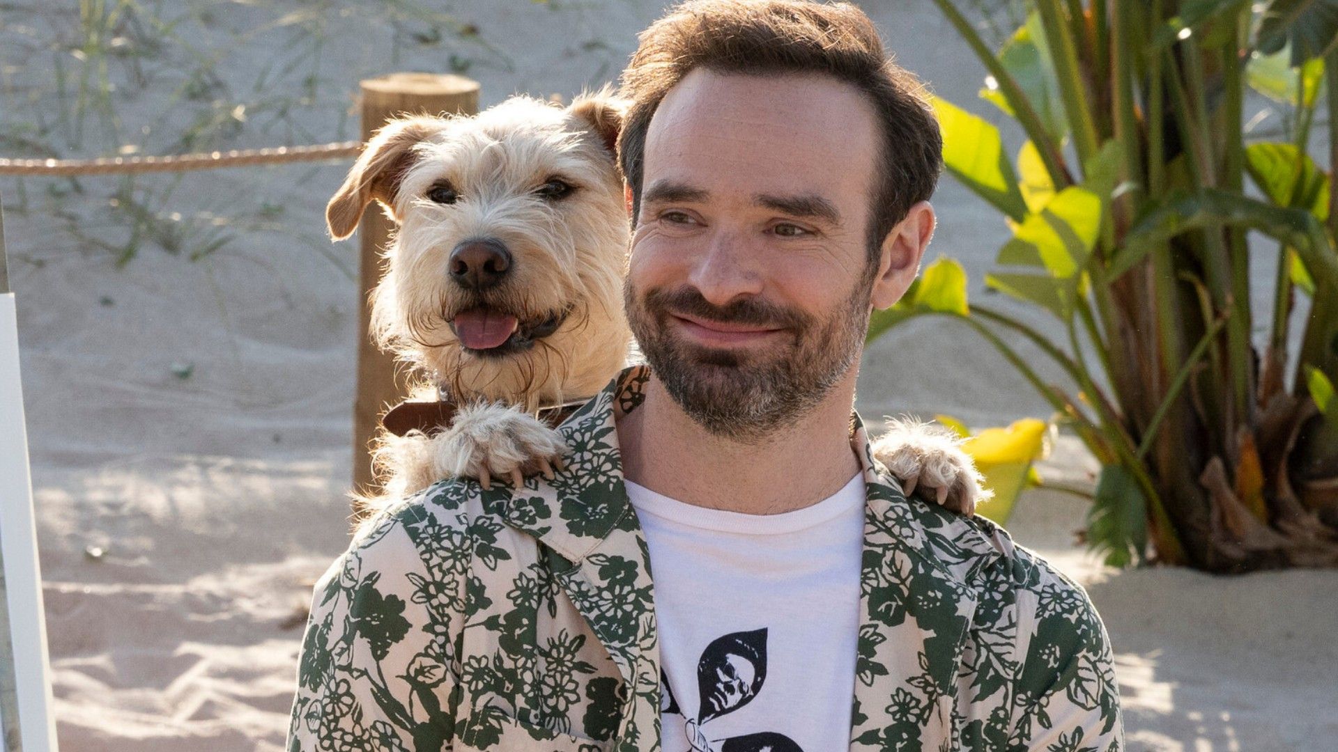 Charlie Cox's New Prime Video Comedy Becomes A Streaming Hit Despite Dismal 33% RT Score image