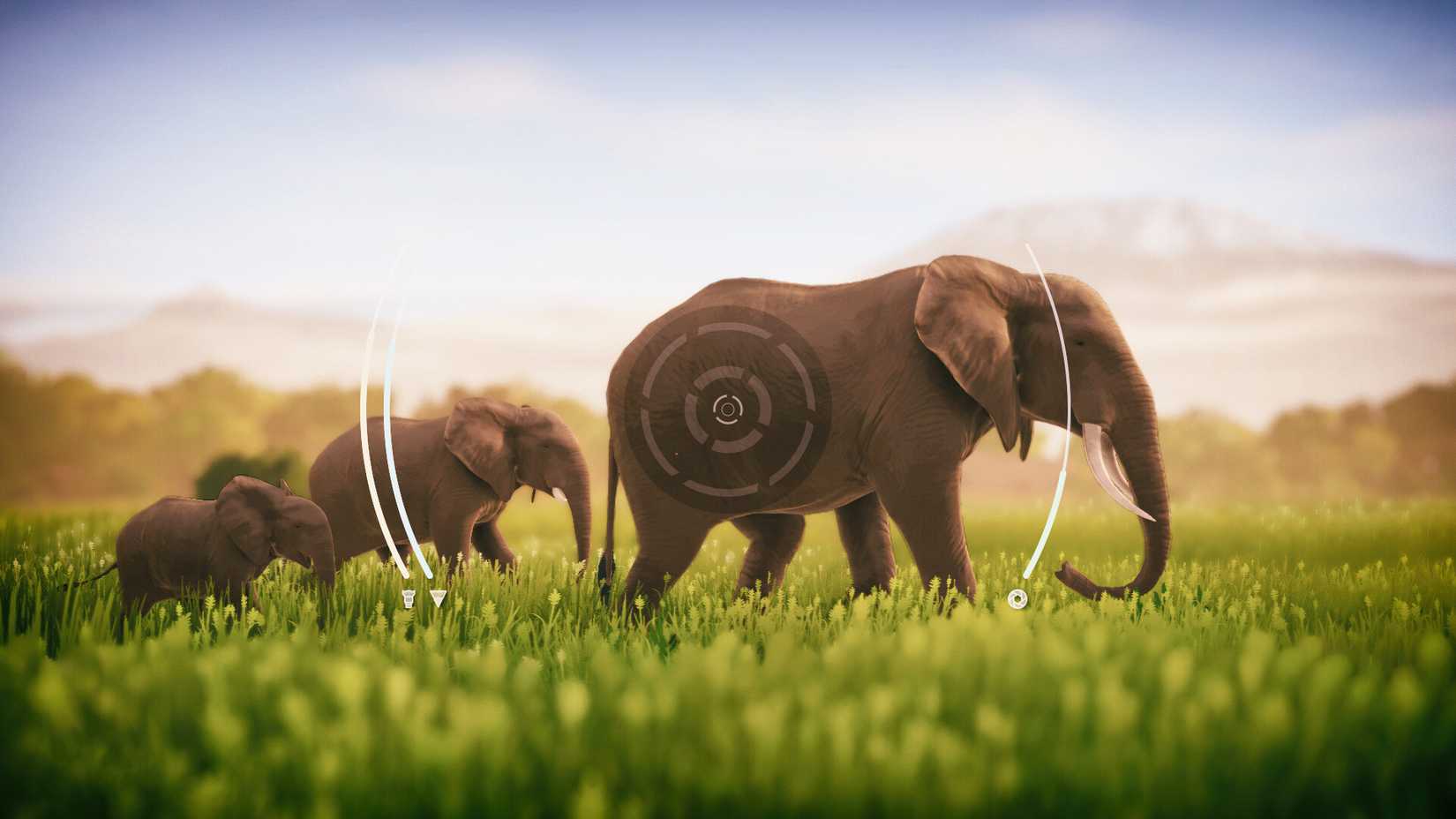 Elephants walking in grass in Seclusa