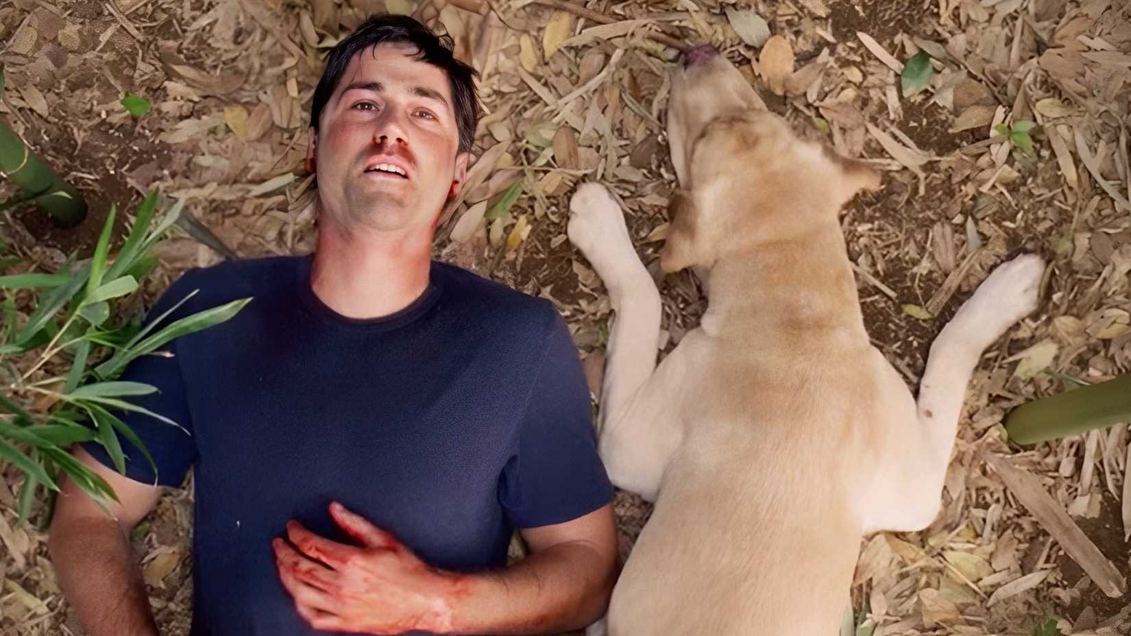 Jack e o cachorro no final da série Lost