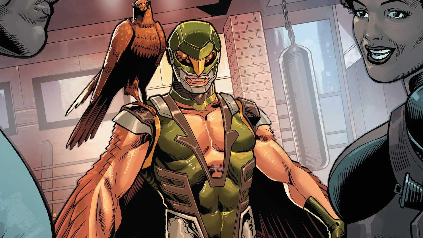 Joaquin Torres's Falcon with misty knight