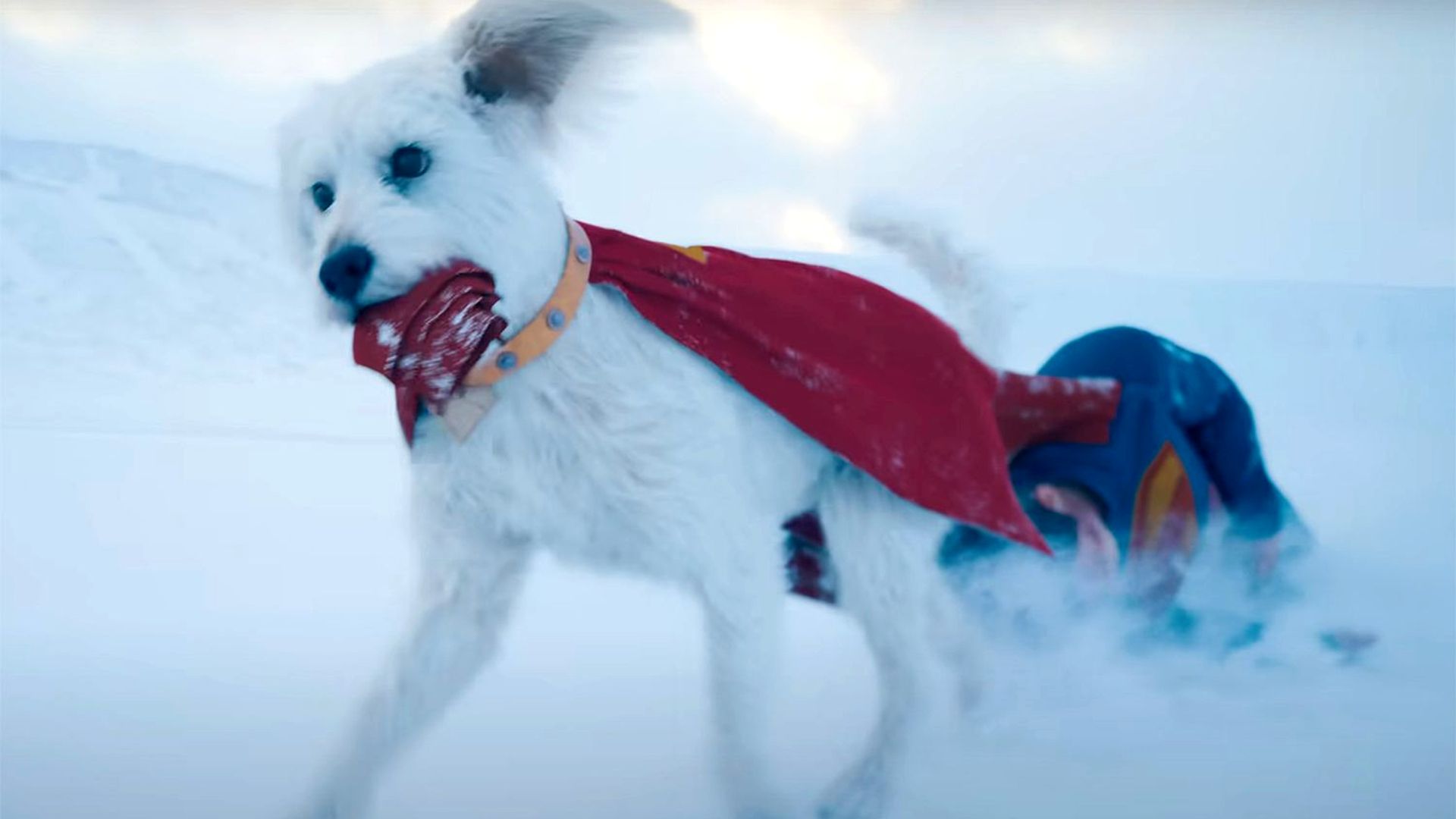 James Gunn Explains How Krypto's Supergirl Return Is Different From His Superman Appearance image