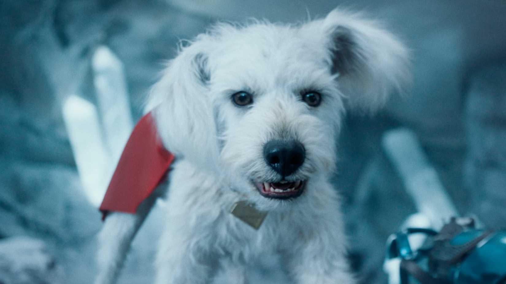 Krypto na Fortaleza da Solidão em Superman