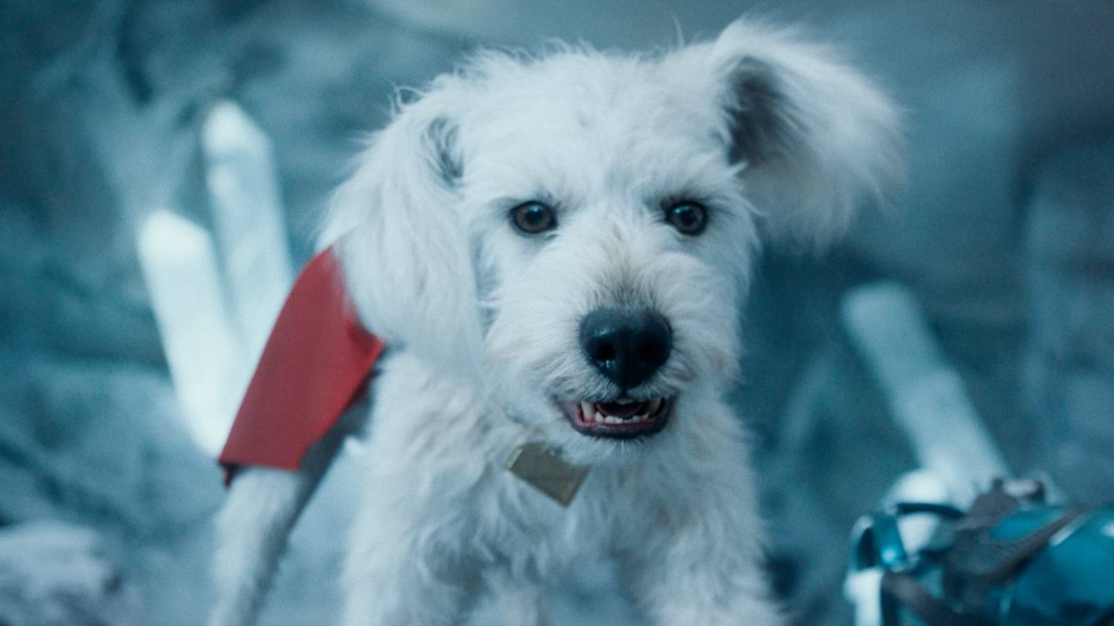 What’s Wrong With Krypto In The Supergirl Trailer? What’s Wrong With Krypto In The Supergirl Trailer?