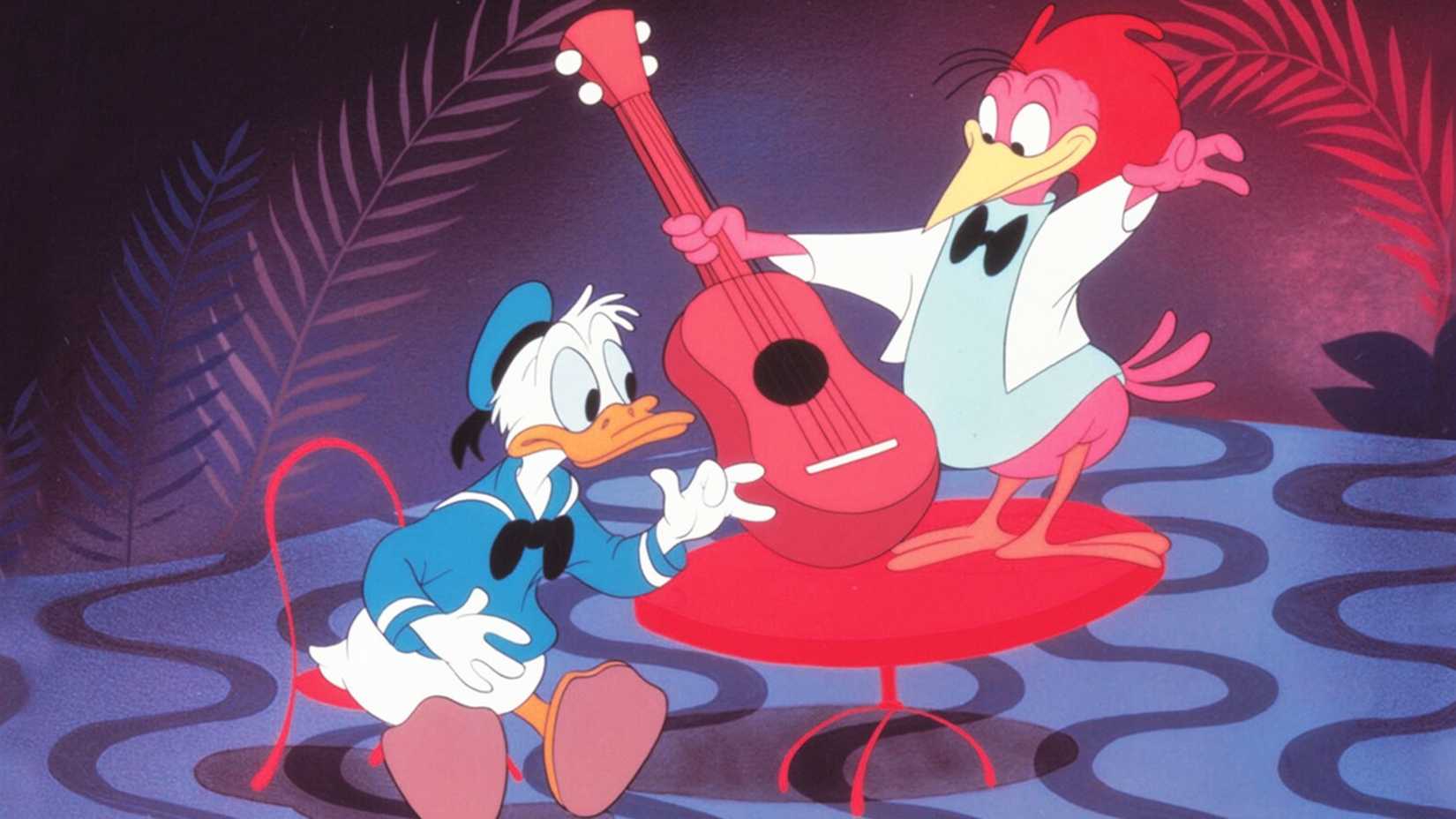 Donald looks disturbed by a guitar player in Melody Time