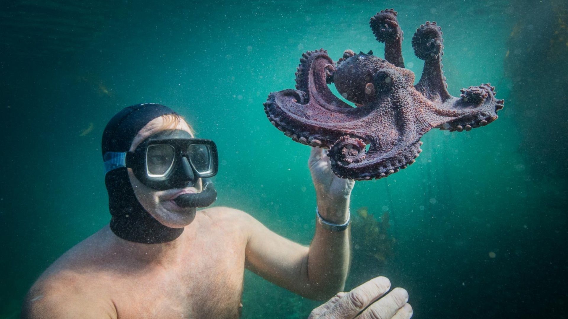 Un uomo con maschera subacquea tiene in mano un polpo sott'acqua