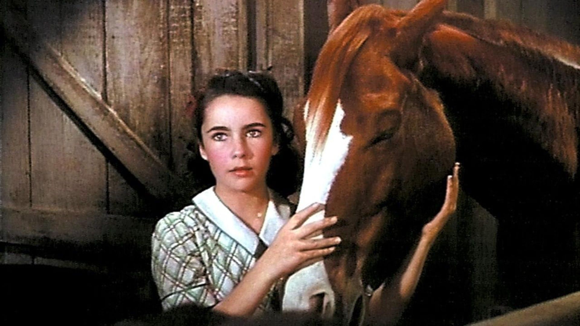 Elizabeth Taylor con il suo cavallo in National Velvet