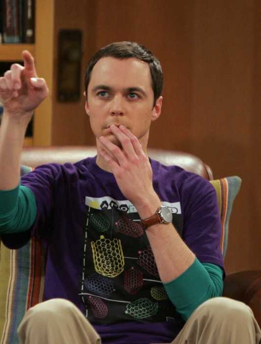 Sheldon Running Long Shot Cast & Character Guide