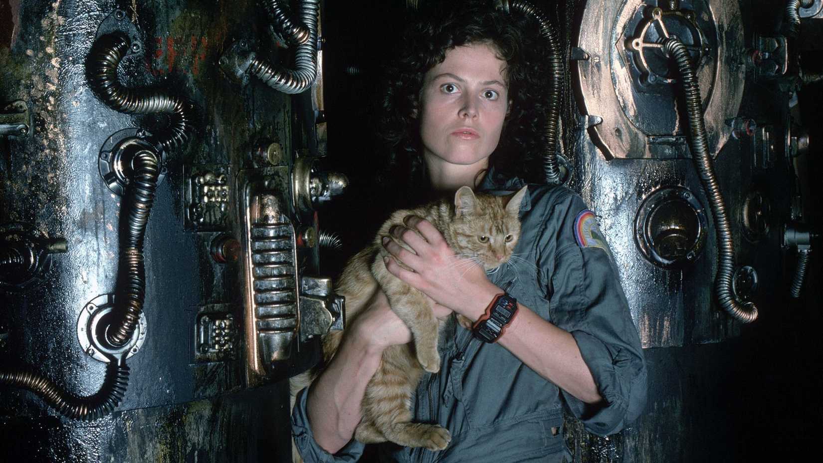 Sigourney Weaver como Ripley com um gato em Alien