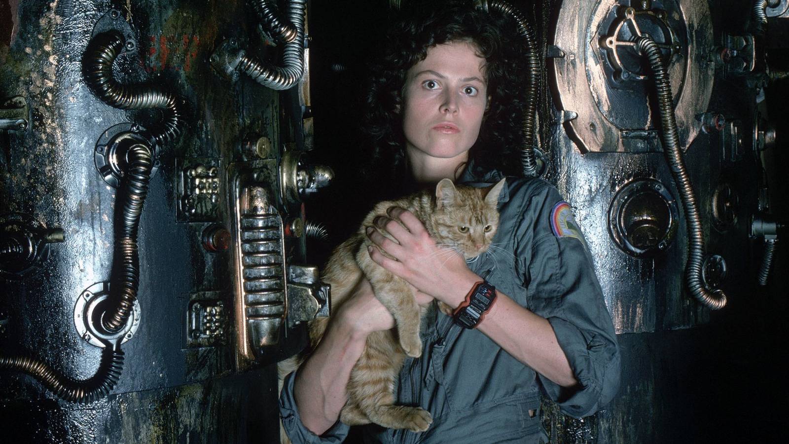6 Near-Perfect Sci-Fi Horror Movies Streaming On Netflix Right Now