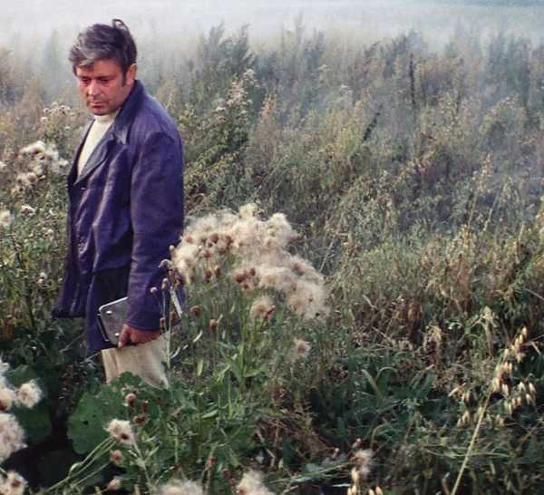 A man looks sad while standing in an alien field in Solaris
