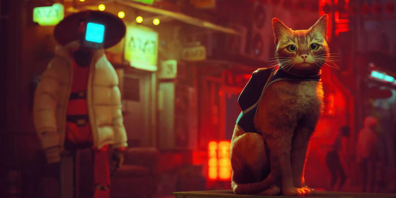 Stray image with cat and robot