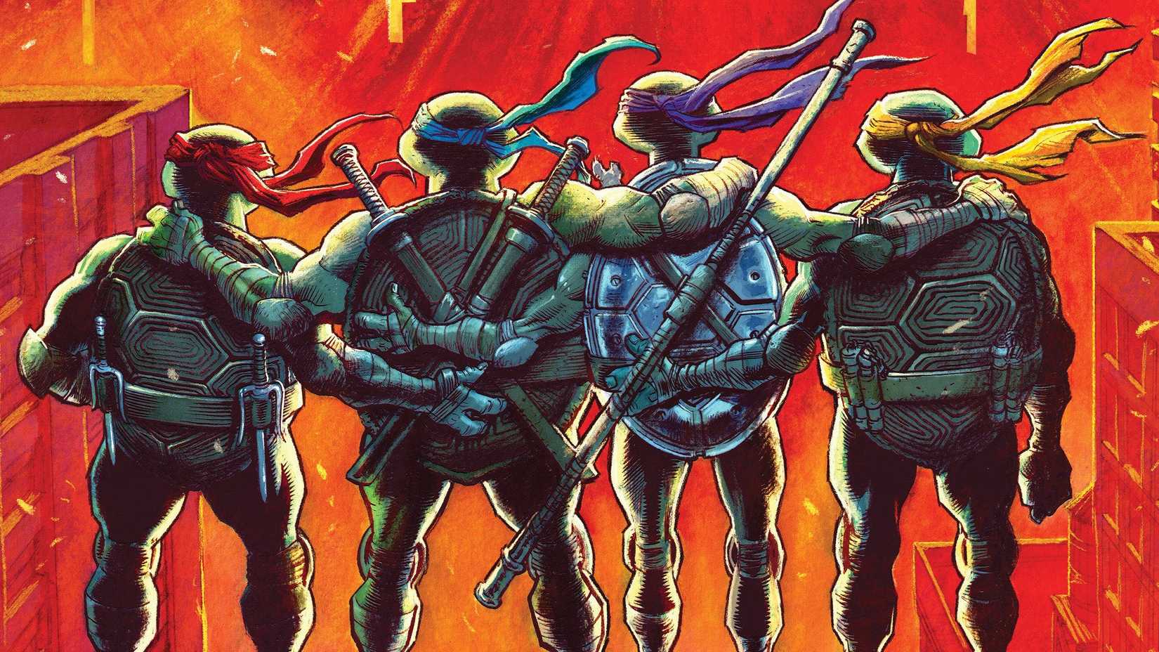 Teenage Mutant Ninja Turtles #12 Comic art by Ferreyra