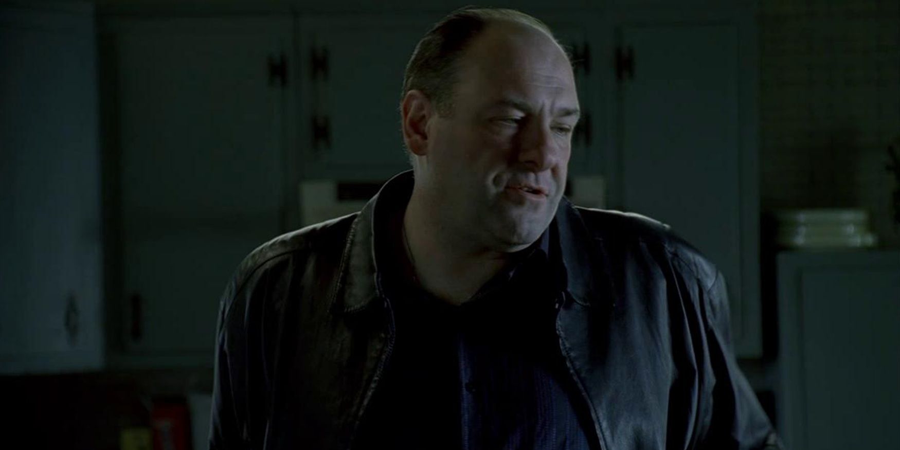 Tony nel rifugio in The Sopranos