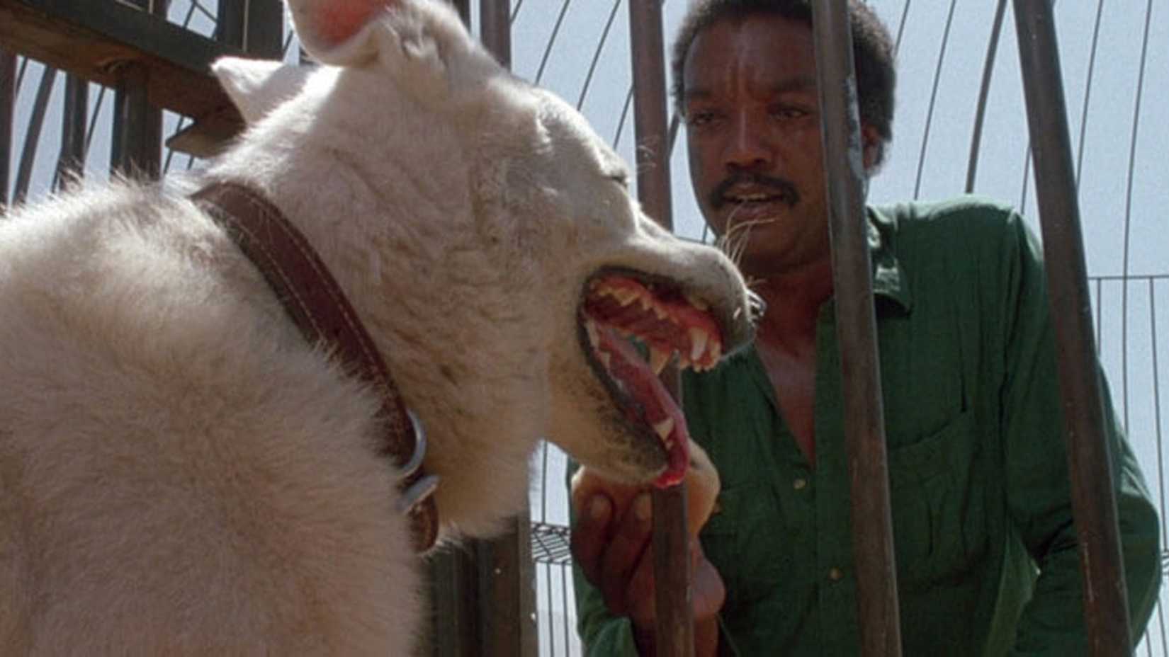 Paul Winfield feeds the dog a burger in White Dog