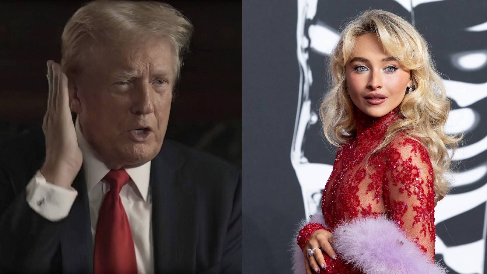 White House Says Sabrina Carpenter Must Be Stupid