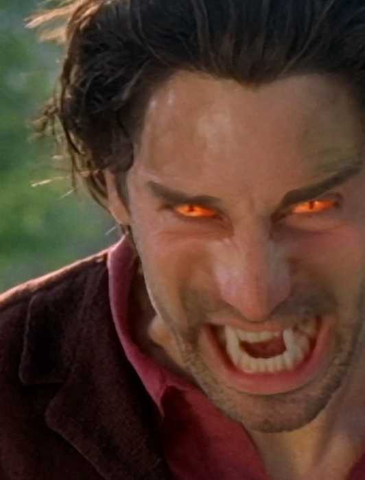 How Much Bigger Olivier Richters’ Paulie Is Compared To Alan Ritchson’s ...