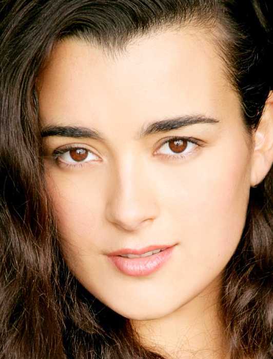 NCIS Makes TV History With Ultra-Rare Milestone Only Achieved 4 Times ...