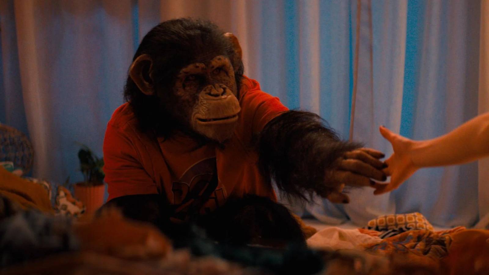 10 Killer Animal Movies To Watch If You Liked Primate