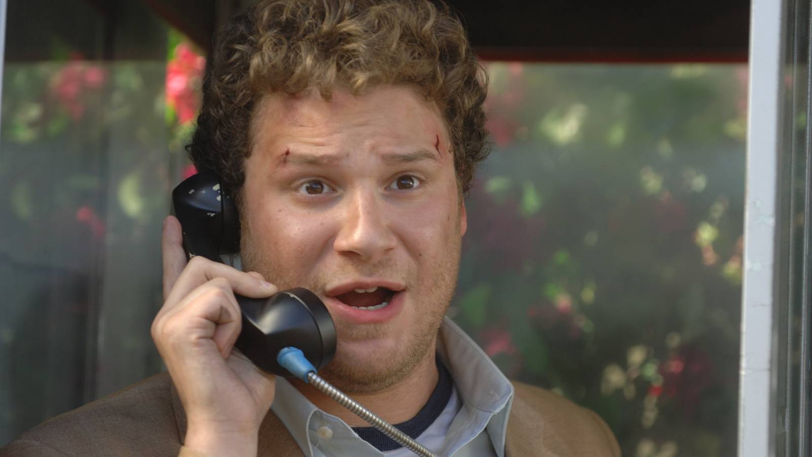 Seth Rogan Shows Seth Rogen's 10 Best Movies & TV Shows, Ranked