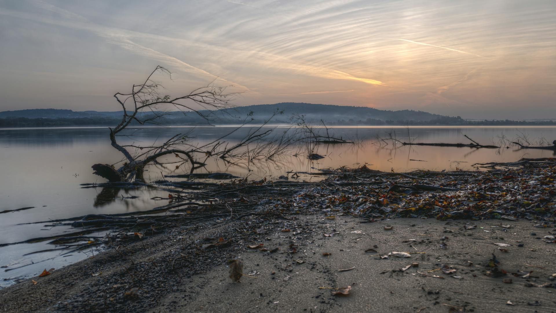 Missing Mayor's Remains Found On Beach 20 Years Later