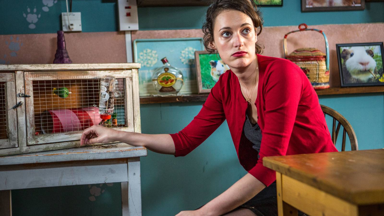 Younger: The 97% Rotten Tomatoes Show Fleabag Replacement on Netflix