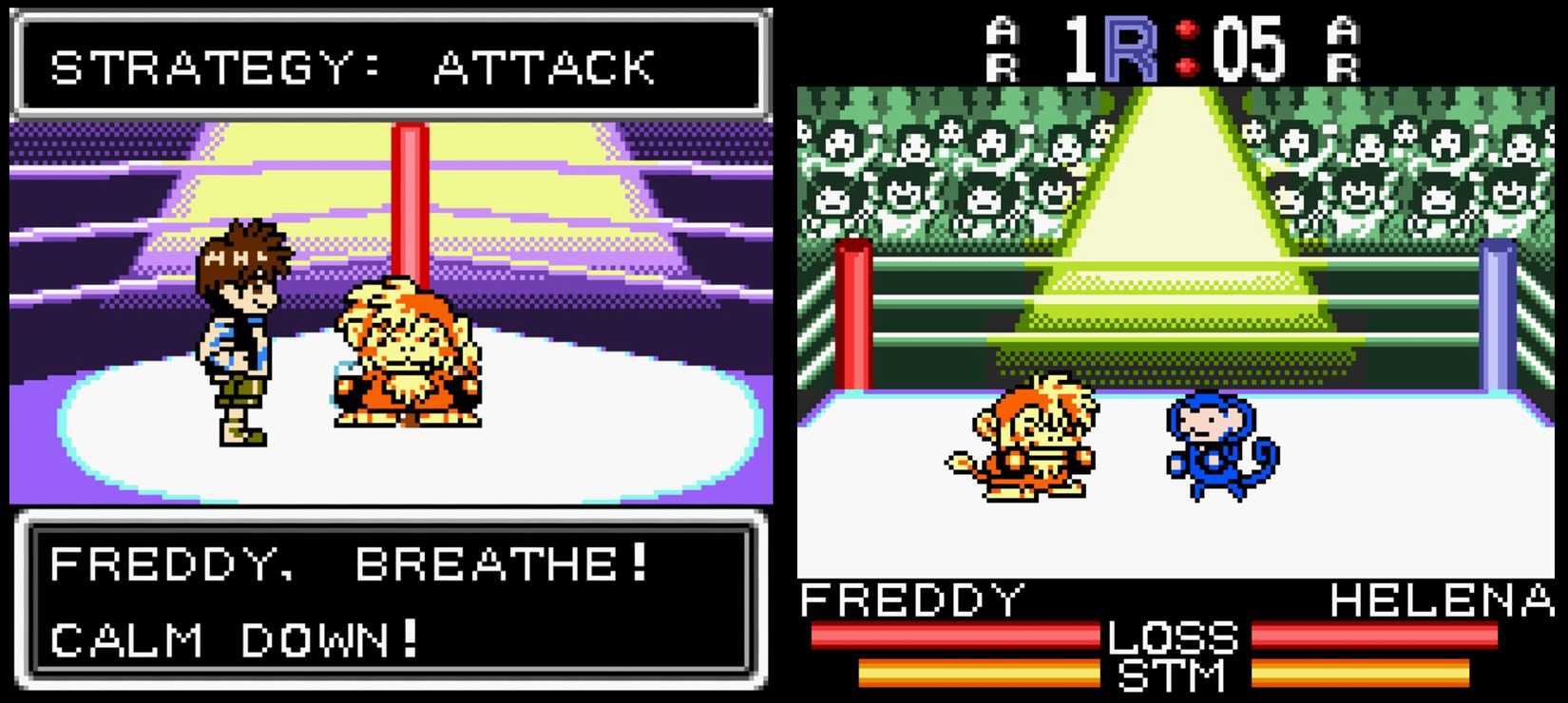 gameboy color game monkey puncher combat