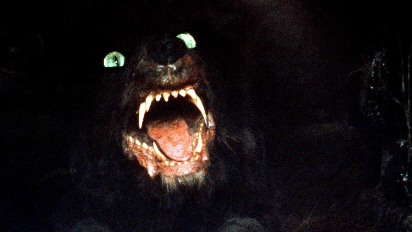 Gmork with his mouth open and bright green eyes in The Neverending Story