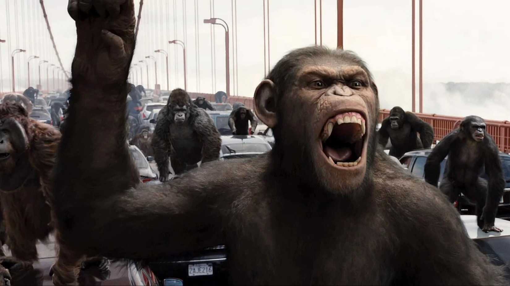 Rise Of The Planet Of The Apes still featuring the apes on a bridge.