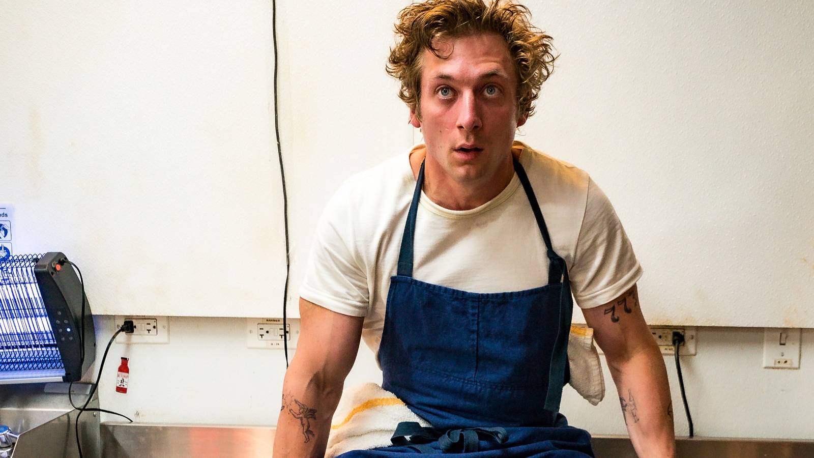 Jeremy Allen White's Shameless Has Already Saved The Bear