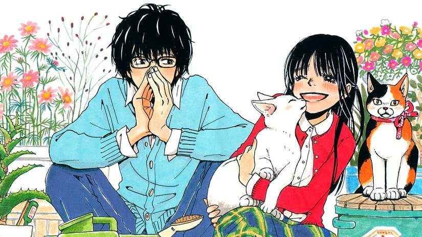 march-comes-in-like-a-lion-hina-rei-1