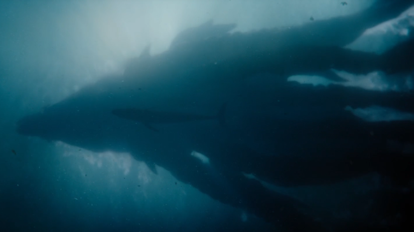 monarch-legacy-of-monsters-season-2-trailer-introduces-the-d_w58t