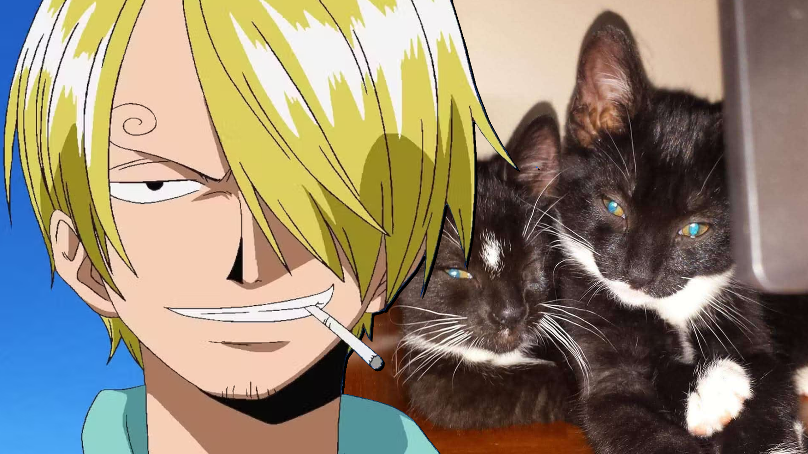 Chapeau de Paille One Piece Chats Sanji Tuxedo Bicolore