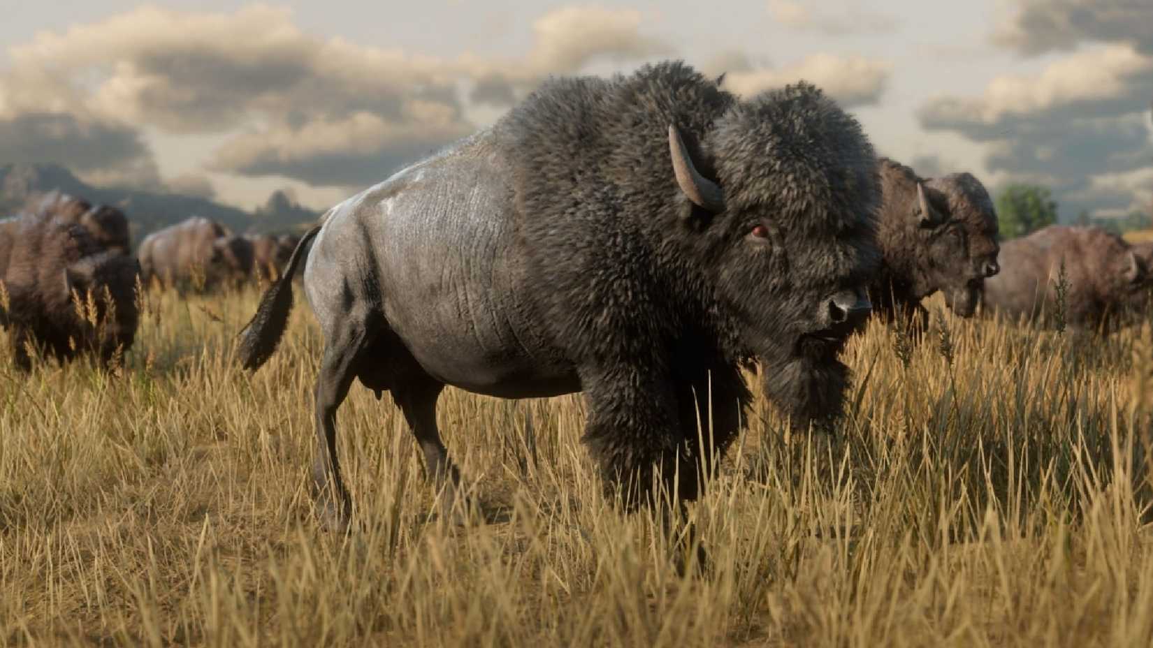 red dead redemption 2 image of buffalo